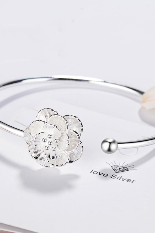 0-0241c3.jpeg 0-0241c3.jpeg