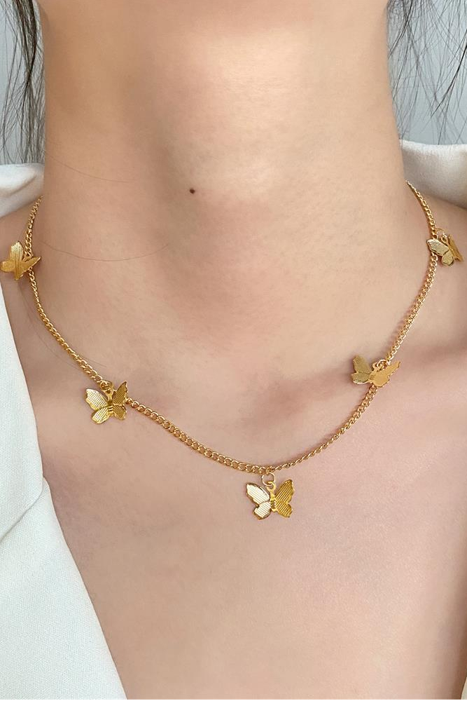 0-ccbaf8.jpeg 0-ccbaf8.jpeg