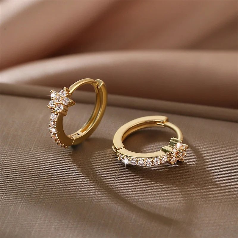 Stainless Steel Zircon Star Hoop Earrings | Vintage Crystal Circle Design
