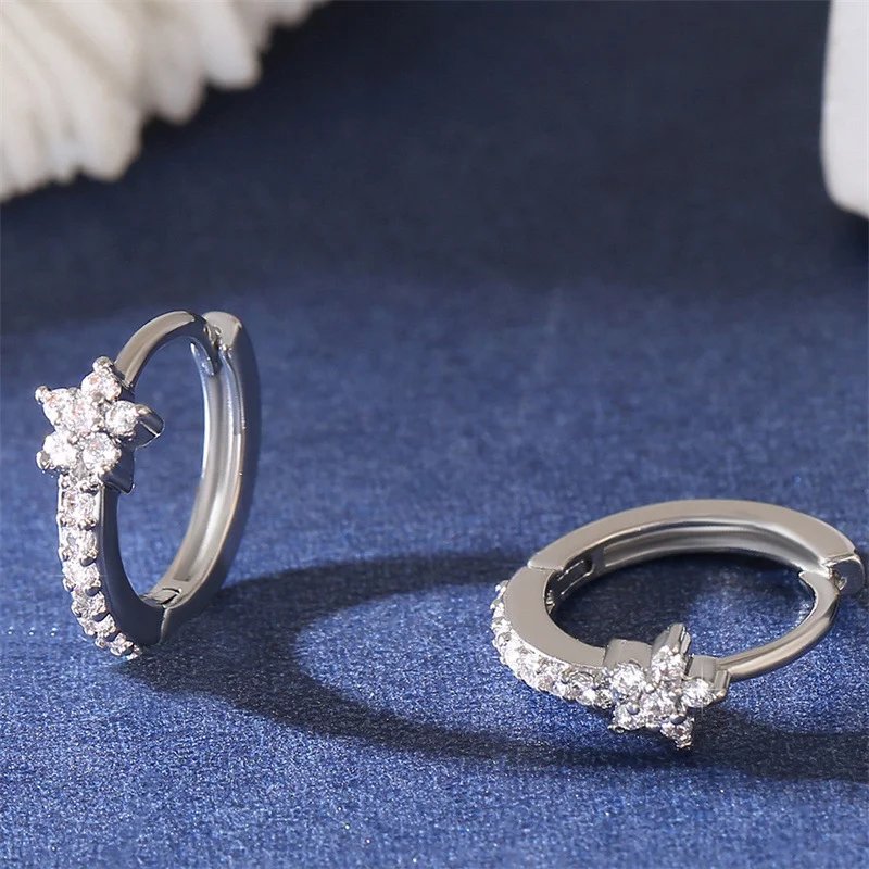 Stainless Steel Zircon Star Hoop Earrings | Vintage Crystal Circle Design