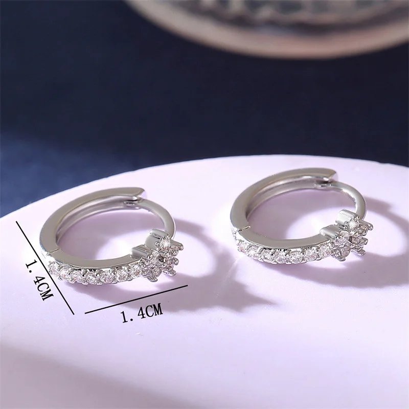 Stainless Steel Zircon Star Hoop Earrings | Vintage Crystal Circle Design