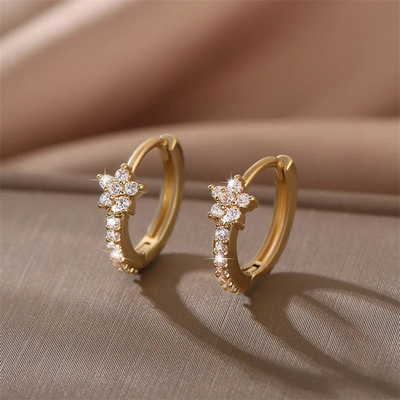 Stainless Steel Zircon Star Hoop Earrings | Vintage Crystal Circle Design